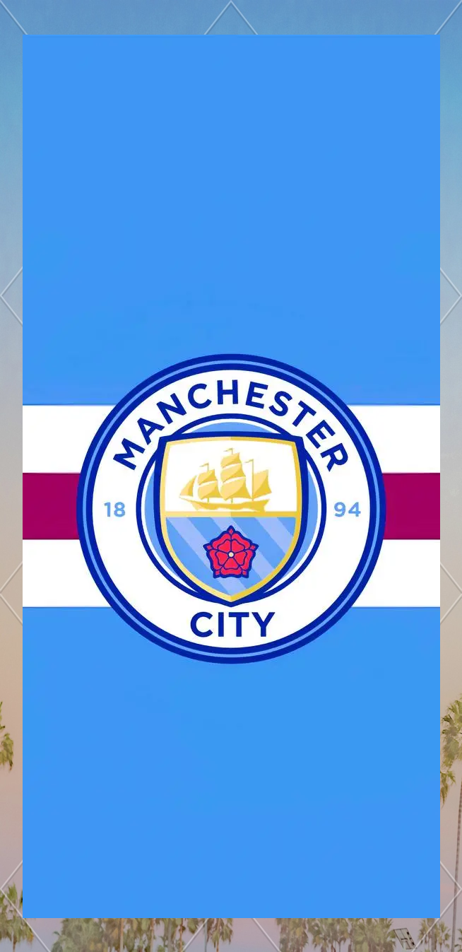 贝克汉姆一家庆祝夺冠